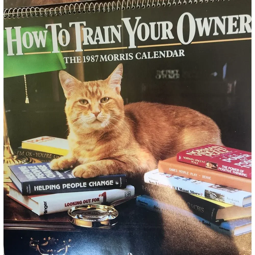 Vintage Morris the Cat Calendar Collection 1985-1990 Unused Lot of 6 Rare